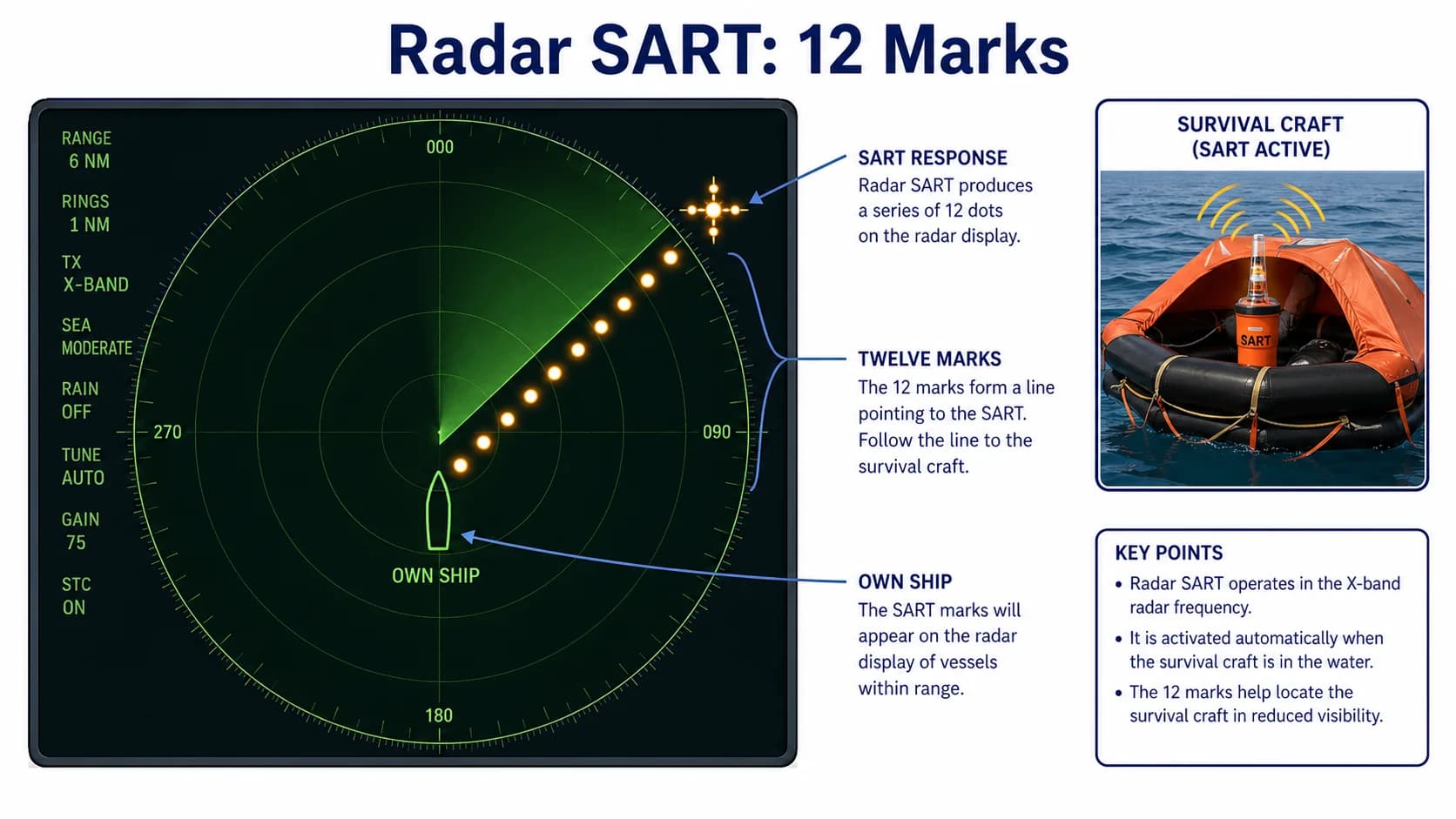Resposta del SART radar a la pantalla X-band: 12 marques equiespaiades alineades amb la posició del SART