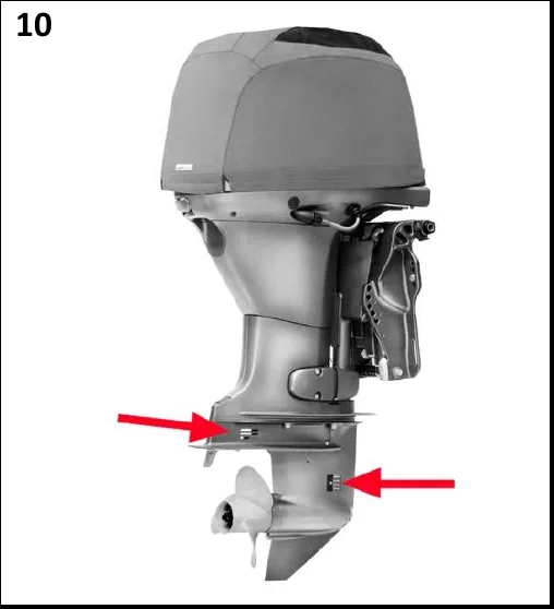 Figura 10