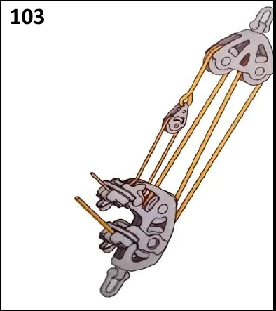 Figura 103