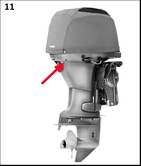 Figura 11