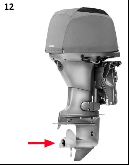Figura 12