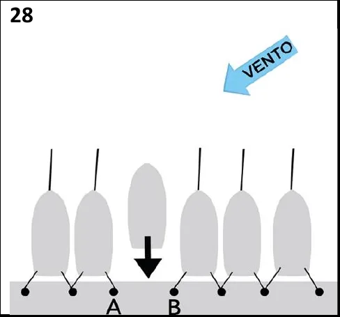 Figura 28