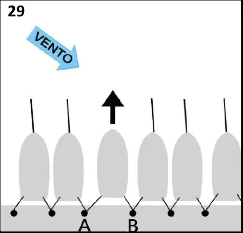 Figura 29