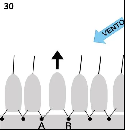 Figura 30