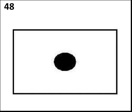 Figura 48