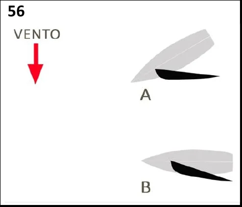 Figura 56