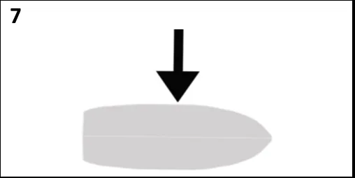 Figura 7