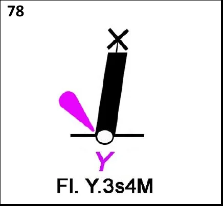 Figura 78